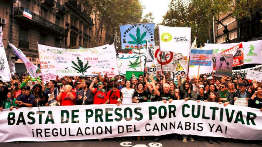 Miles de personas marcharon por despenalización del  autocultivo de cannabis
