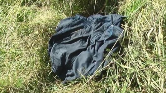 Cinco hombres violaron a una nena de 13 años a la salida del colegio