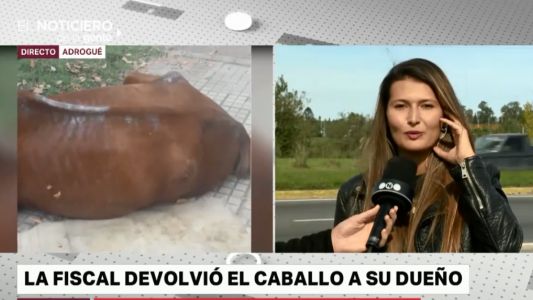 Changarines y caballos: "La pobreza no debe justificar el maltrato"