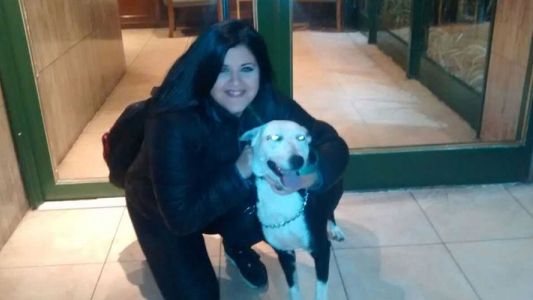 Sufrió ataque de epilepsia y la salvó una perra callejera: ahora le busca hogar