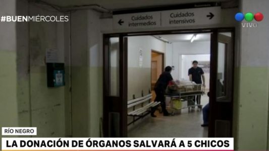 Cinco niños recibieron los órganos de una adolescente de Bariloche