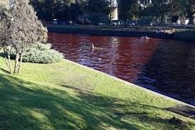 Misterio en Tigre: el río se tiñó de rojo