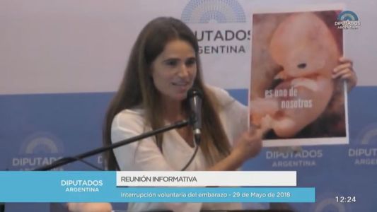 La mujer de los "bebitos" expuso en el Congreso: "72 diputados firmaron proyectos de pena de muerte para el niño por nacer"