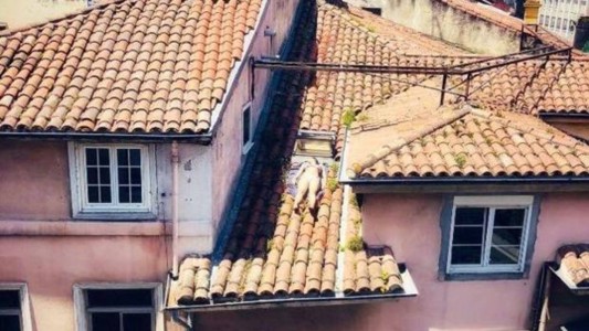 El extraño lugar que eligió esta mujer para tomar sol