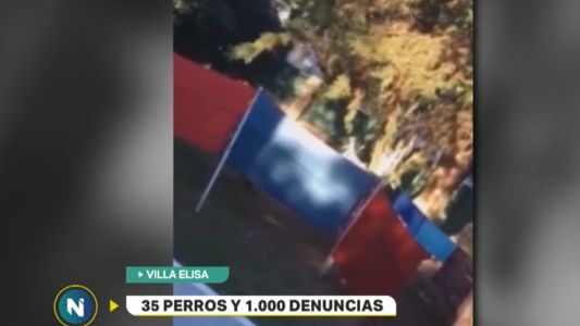Denuncian a dos mujeres por golpear con palos a sus perros