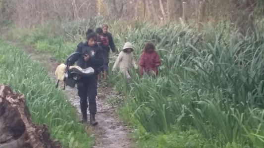 Rescataron a cinco hermanitos abandonados en el monte