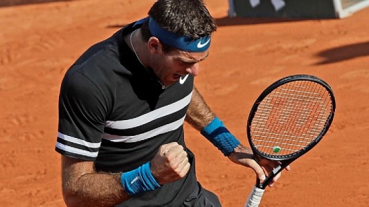 Roland Garros: Del Potro ganó el "duelo de torres" y se sumó a Schwartzman en cuartos
