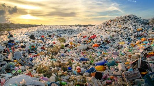 Día Mundial del Medio Ambiente: la batalla contra el plástico