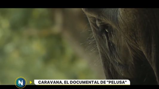Caravana, el documental de "Pelusa"