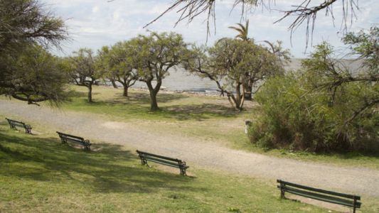 Alumnos plantaron 50 árboles para festejar los 32 años de la Reserva Ecológica