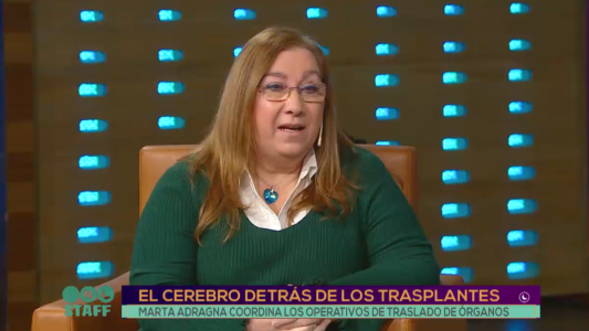 El cerebro detrás de los trasplantes