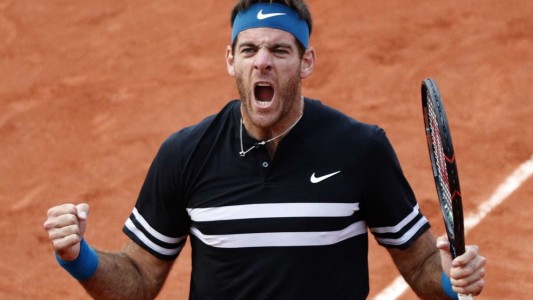 Del Potro pasó a semifinales y buscará derrocar al "Rey" de Roland Garros