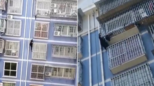 Otro "hombre araña" héroe: salvó a un nene que colgaba de una ventana