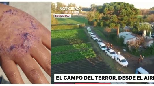 Las manos de Giselle: rescataron a menores obligados a trabajar con agrotóxicos