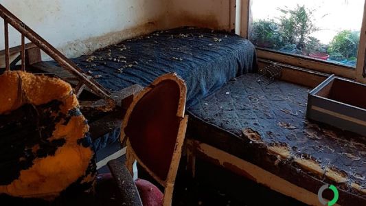 Maltrato en criaderos ilegales: rescataron a 18 perros y 49 gatos