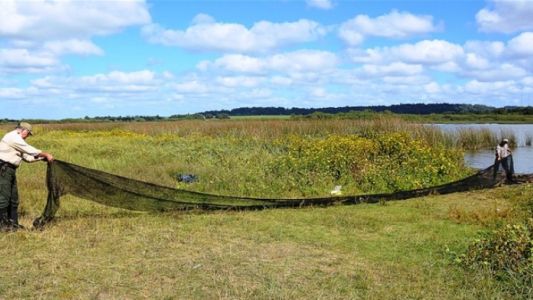 Plan canje y ahorro en Laguna de los Padres: el que corta el pasto se lo lleva
