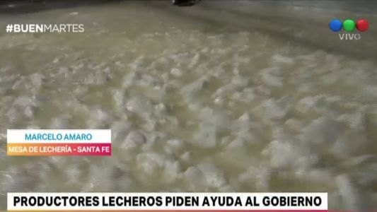Crisis lechera: "Cerraron 450 tambos en el último año"