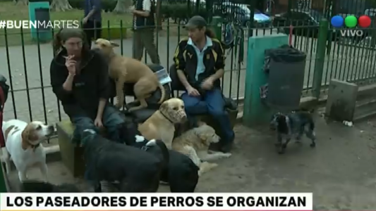 Los paseadores de perros se agrupan y buscan salir de la informalidad