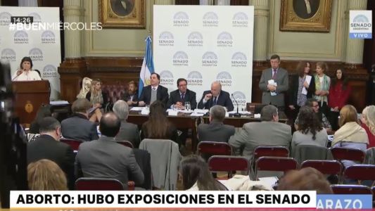 Comenzó en el Senado el debate por el aborto