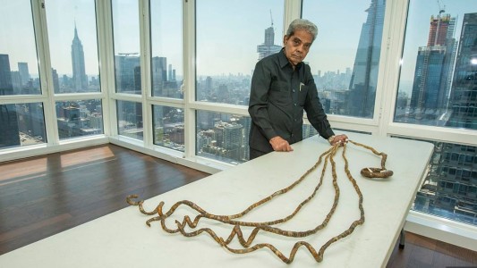 El hombre con las uñas más largas del mundo se las cortó y las exhibirá en un museo