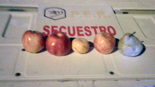 Paraná: detuvieron a dos adolescentes por robar tres manzanas, una mandarina y una pera
