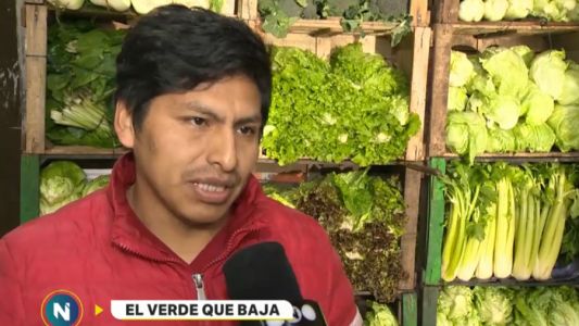 El verde que baja: lechuga, rúcula y espinaca
