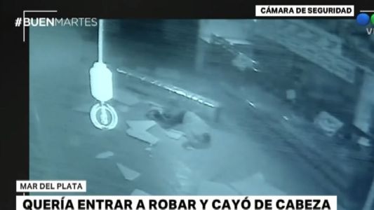 Un ladrón cayó del techo en una feria de Mar del Plata