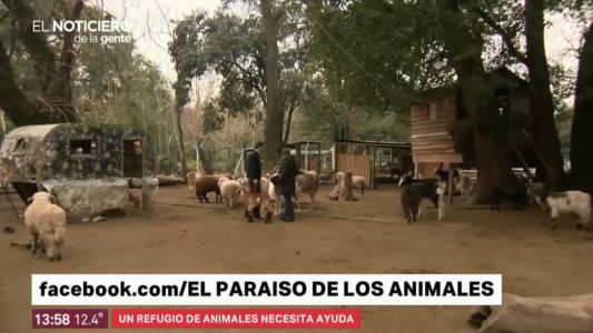 "El Paraíso de los Animales" existe, queda en General Rodríguez y está en problemas