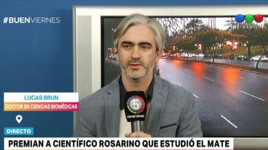 Premian a un científico argentino que estudió el mate