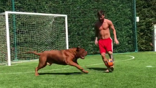 Messi viral: juega a la pelota con su perro mientras sus hijos lo alientan
