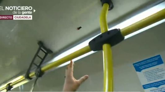 "Pensé que me mataban", dijo el chofer baleado en un colectivo de la línea 84