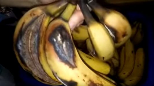 Entregan bananas podridas y 6 kilos de carne para 150 chicos en una escuela de Mar del Plata