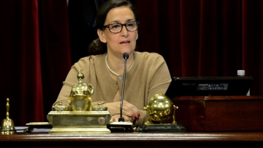 Michetti pidió una sesión especial para tratar el pedido de allanamiento a Cristina