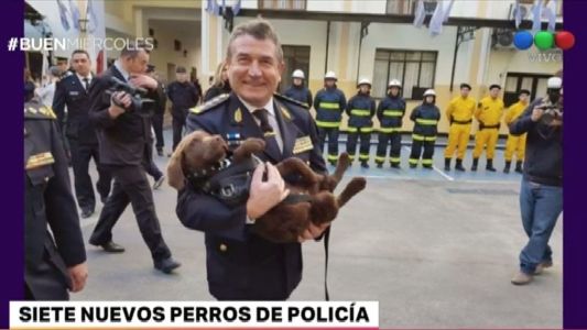 Donaron a la Policía Federal siete cachorros que serán entrenados para buscar personas y explosivos