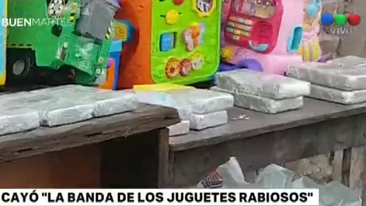 Cayó "la banda de los juguetes rabiosos": ocultaban 20 kilos de cocaína