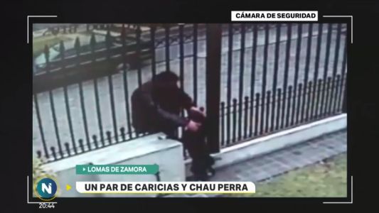 Video: le robaron al perro a través de la reja de la casa