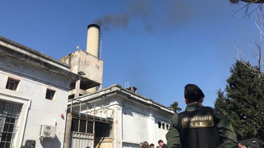 Quemaron 389 kilos de cocaína de operativo contra el narcotráfico en embajada rusa