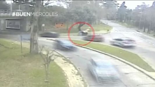Detuvieron a un hombre que se robó un contenedor de basura