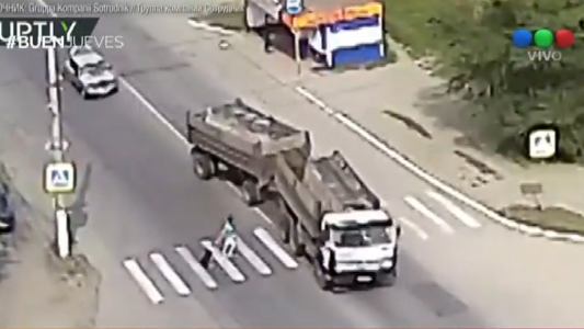 Perro héroe: salvó a su dueña de ser atropellada por un camión