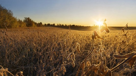 La actividad económica cayó 5,8% en mayo