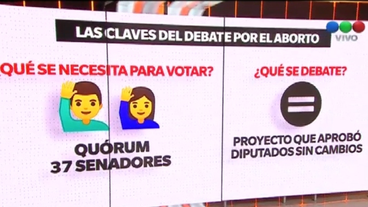 Aborto: las claves del debate en el Senado