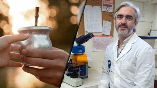 Premio para científico rosarino que estudia el efecto de la yerba en los huesos