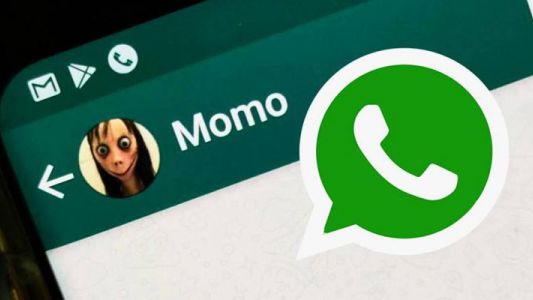 Alerta en Neuquén por una nueva amenaza del "juego del Momo"
