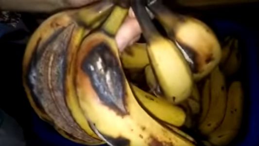 Entregan bananas podridas y 6 kilos de carne para 150 chicos en una escuela de Mar del Plata
