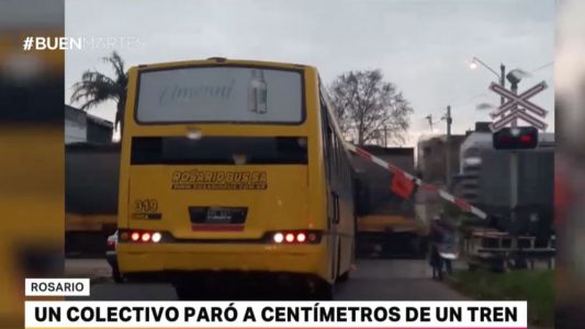 Un colectivo paró a centímetros de un tren