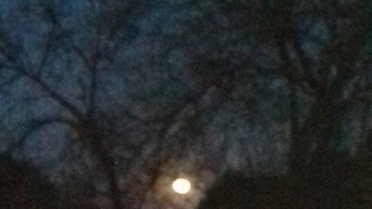 Misterio: la foto que conmueve a vecinos de Rosario de Lerma