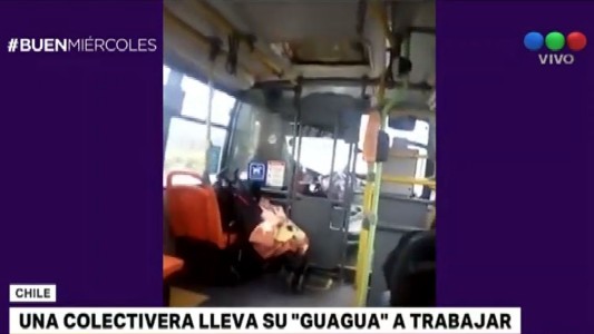 Chile: una colectivera llevó a su beba a trabajar con ella