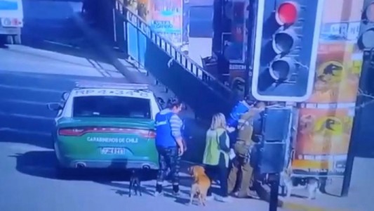Polémica en Chile: un policía mató a un perro que lo mordió durante un operativo