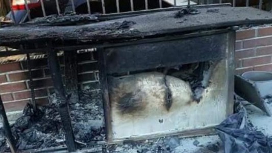 Denunciaron maltrato animal en Chile: un hombre incendió el lugar en el que dormían dos perros