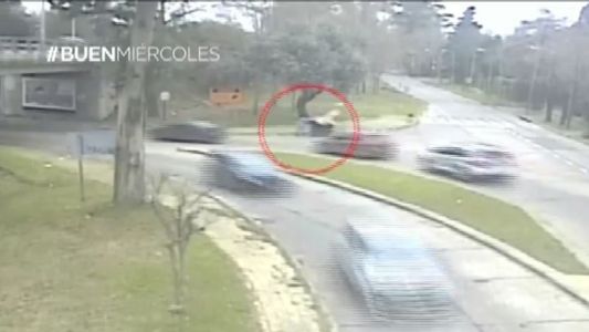Detuvieron a un hombre que se robó un contenedor de basura